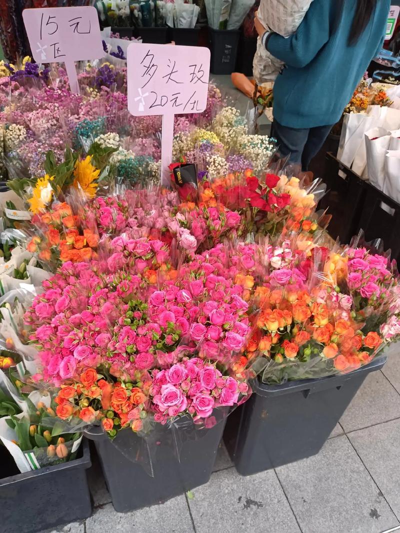 深圳荷蘭花卉小鎮(zhèn) 花的世界，花的海洋，群芳競(jìng)艷百花齊放