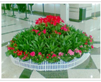 深圳市藝魂寶飾品 匠心打造花卉主題飾品，點(diǎn)亮全球時(shí)尚